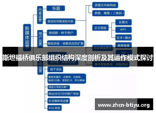 斯坦福桥俱乐部组织结构深度剖析及其运作模式探讨