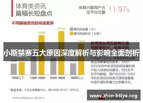 小斯禁赛五大原因深度解析与影响全面剖析