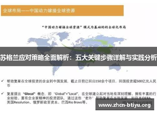 苏格兰应对策略全面解析：五大关键步骤详解与实践分析